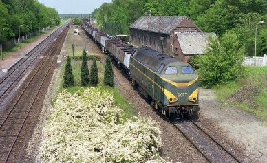 Winterslag - E5219.jpg